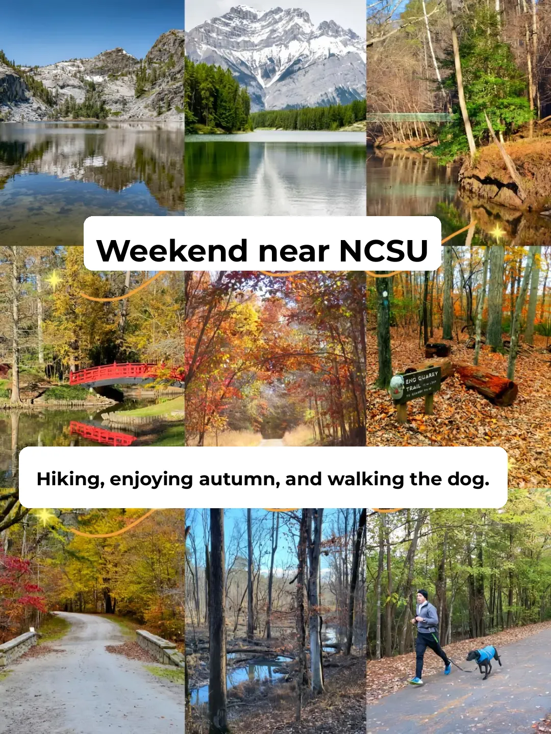 Weekend Hiking + Fall Foliage Viewing + Dog Walking near NCSU