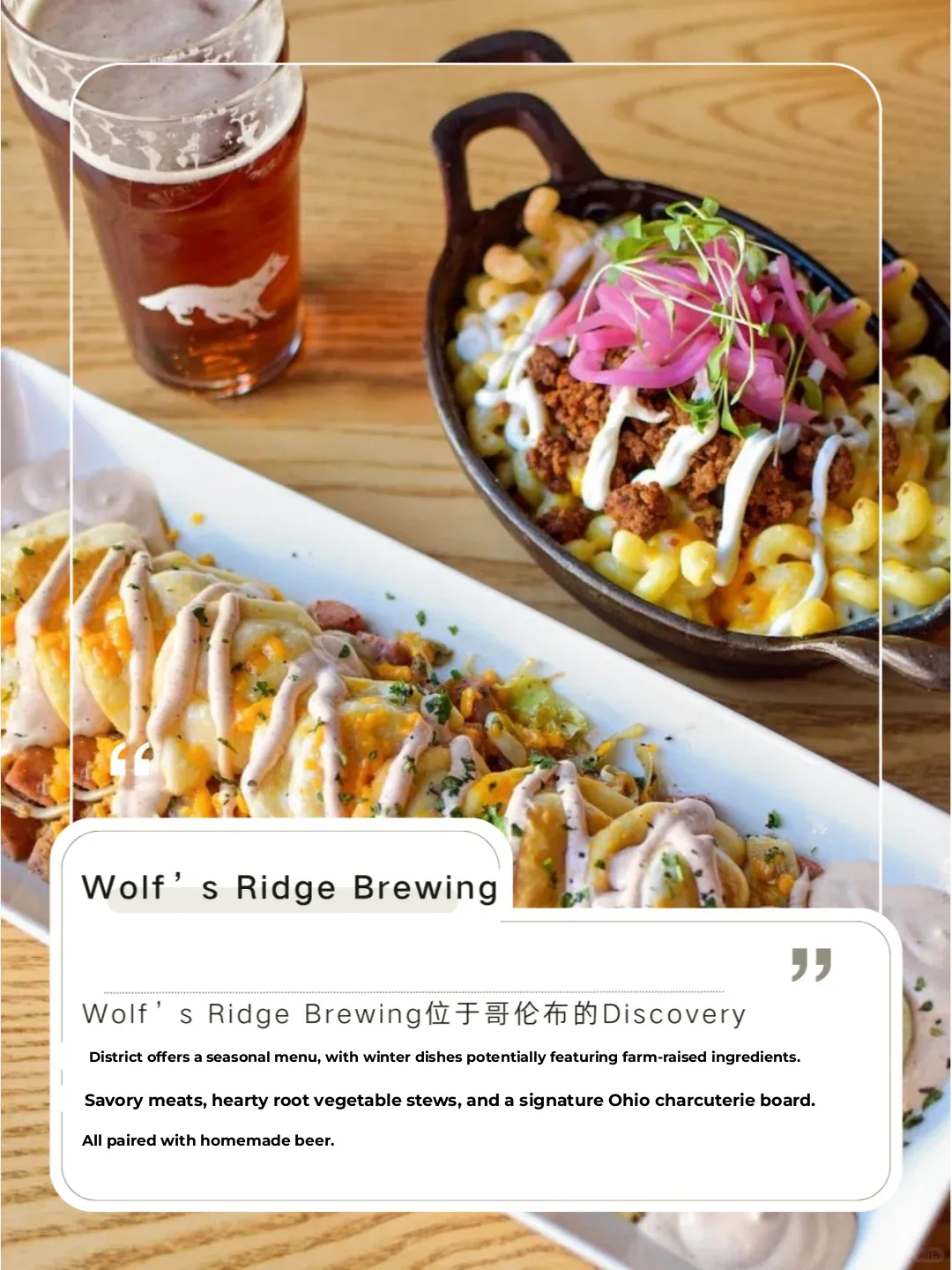 🌲 OSU | Hiking and Culinary Delights in Columbus 🌲