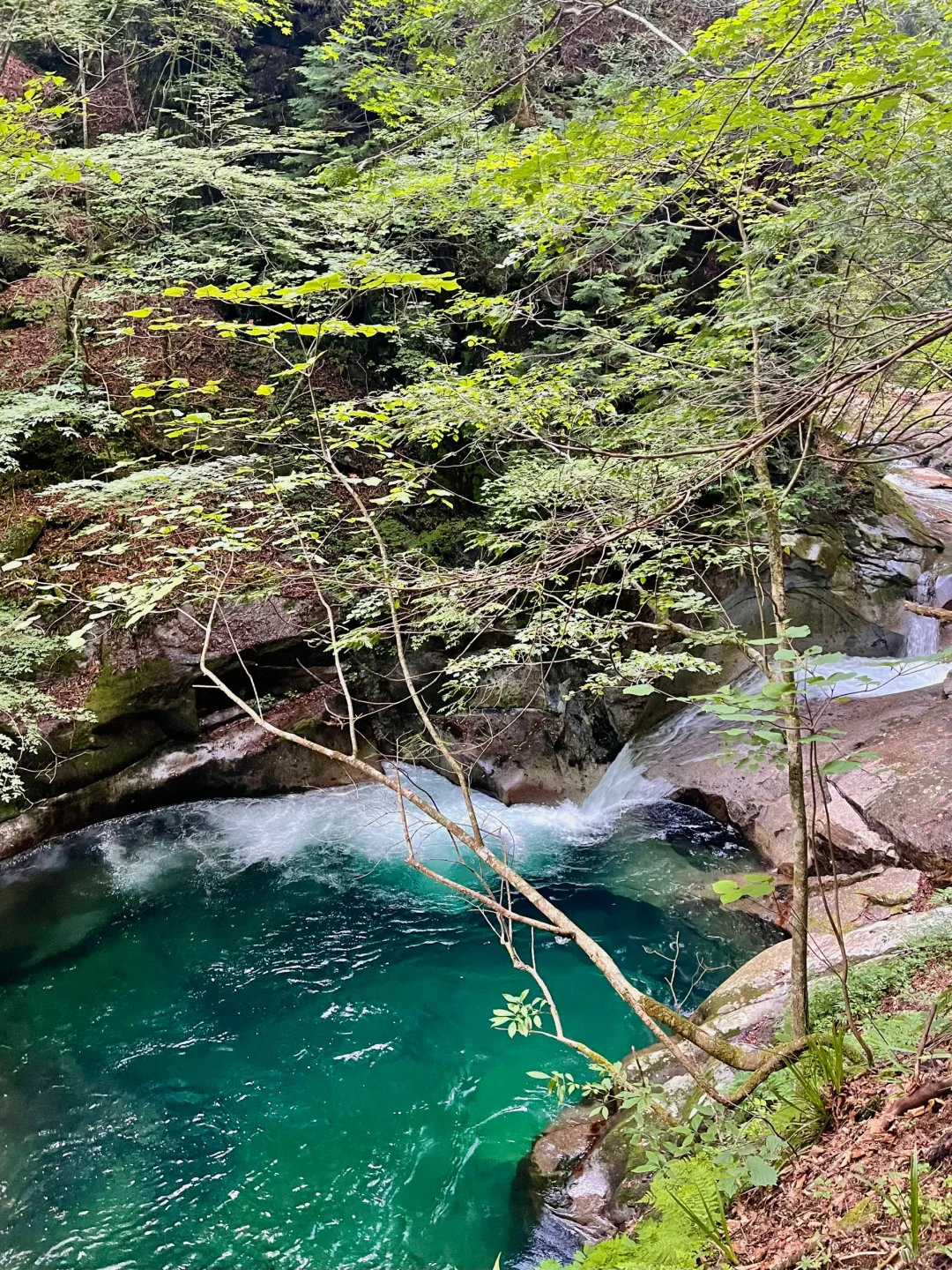 Day Trip to Tokyo | Nishizawa Ravine | Cool Summer Hiking Route Guide 💦