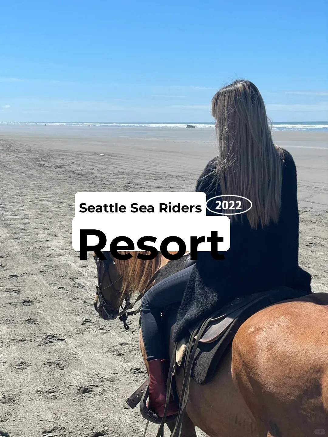 Seattle Sea Rides 🌊 Just $20 for an Hour of Fun!