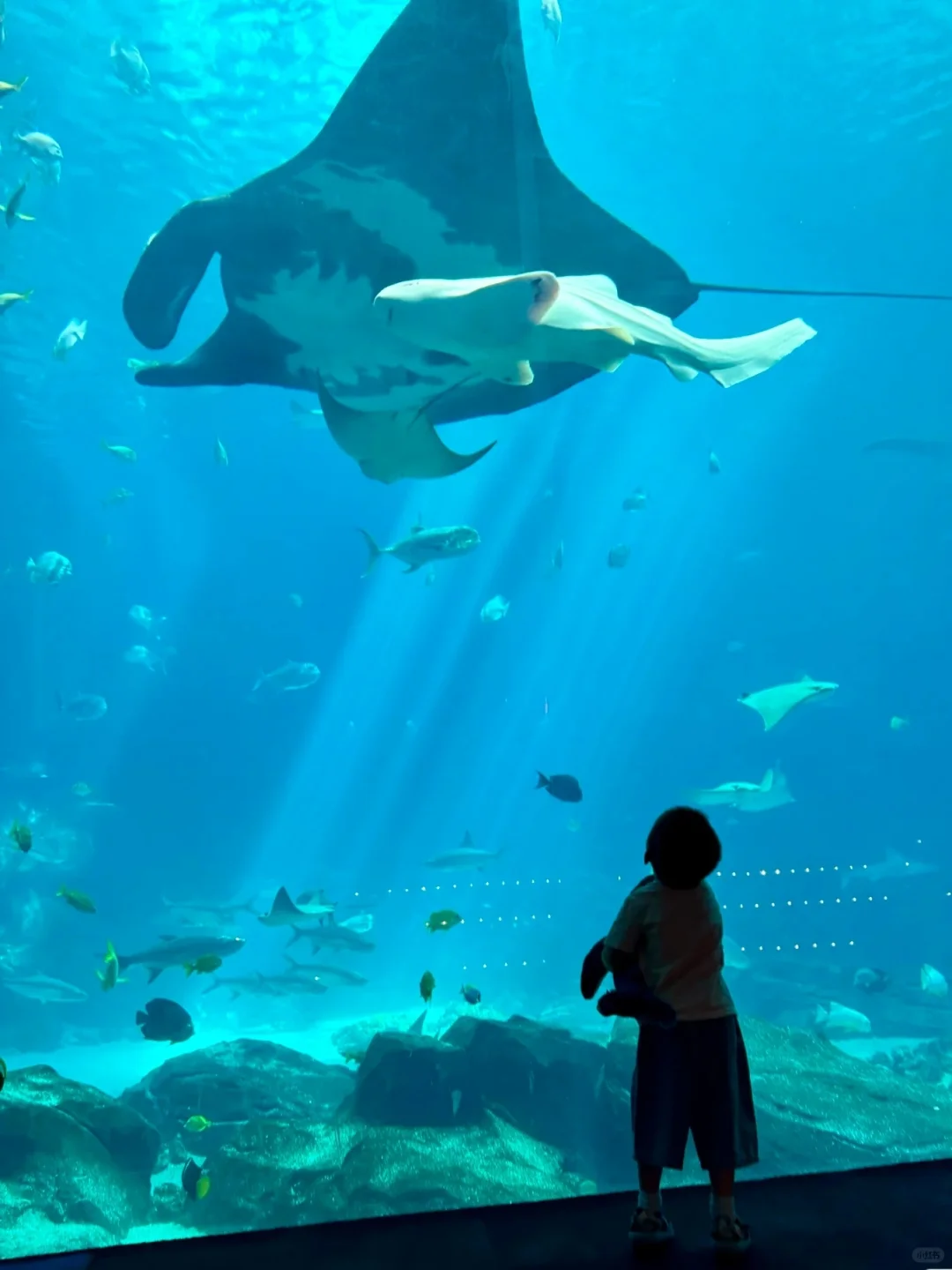 **Ultimate Guide to a Super Fun Family Trip to Las Vegas with Kids‼️ Your Little Ones Will Love It!**