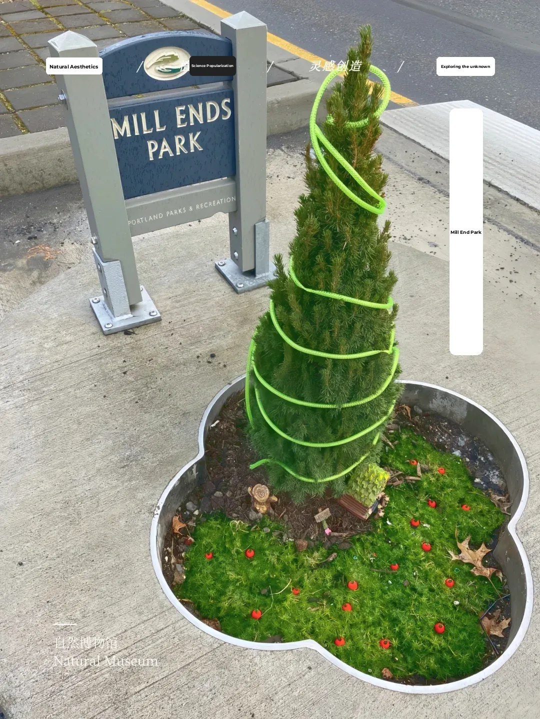 The World's Smallest Park: Only Big Enough for a Single Tree – Mill Ends Park