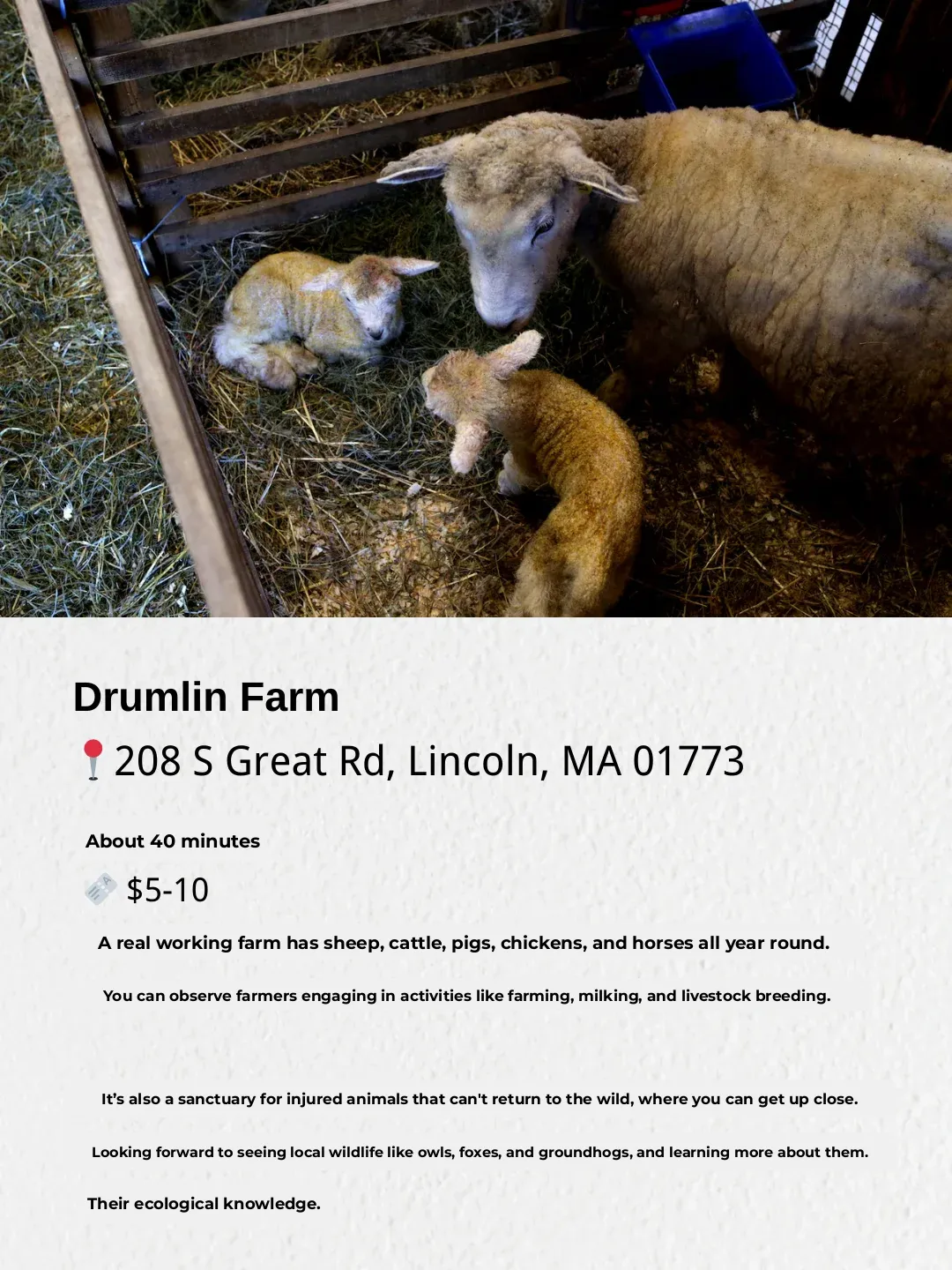 Boston Students Can't Decide Where to Go for Spring Break? Check This Out 3️⃣