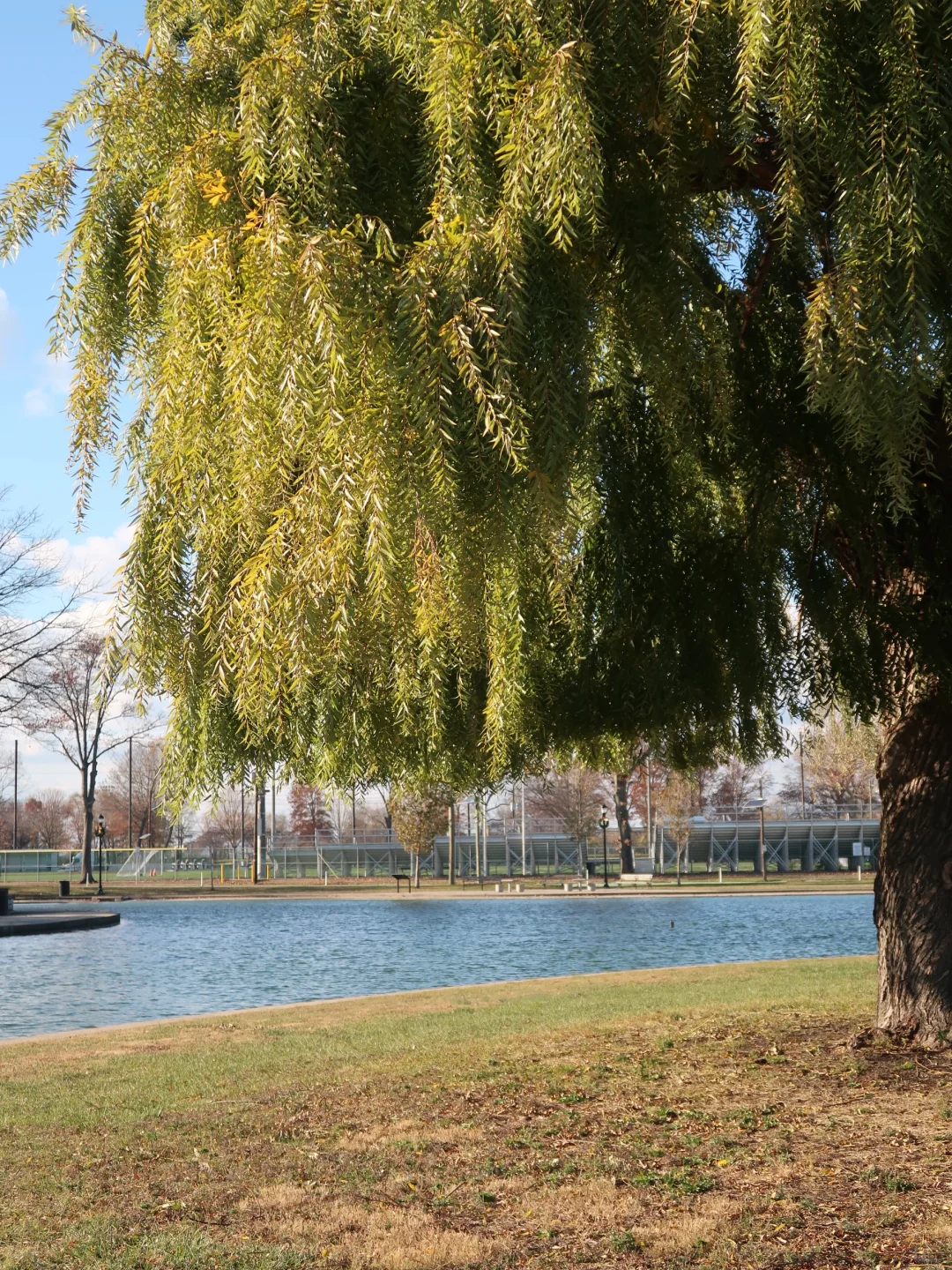 New Jersey｜A Winter That Doesn’t Feel Like Winter