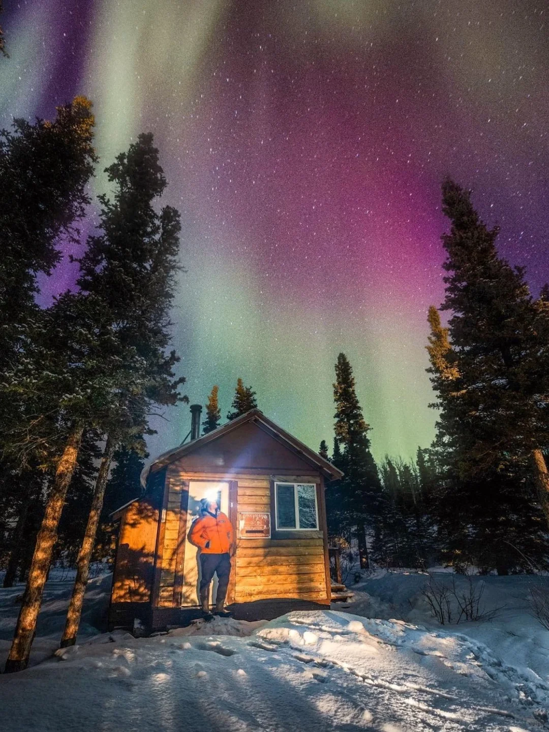 Head to Alaska in November-December 💞 Guide is ready 💯