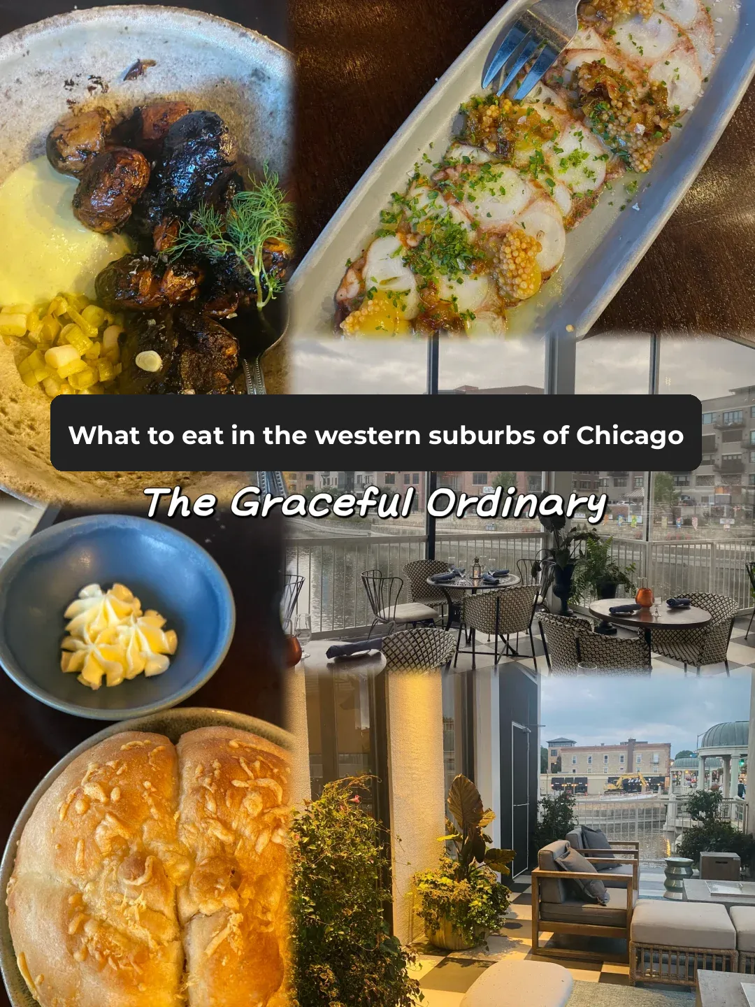 What to Eat in Chicago Suburbs: Part 8