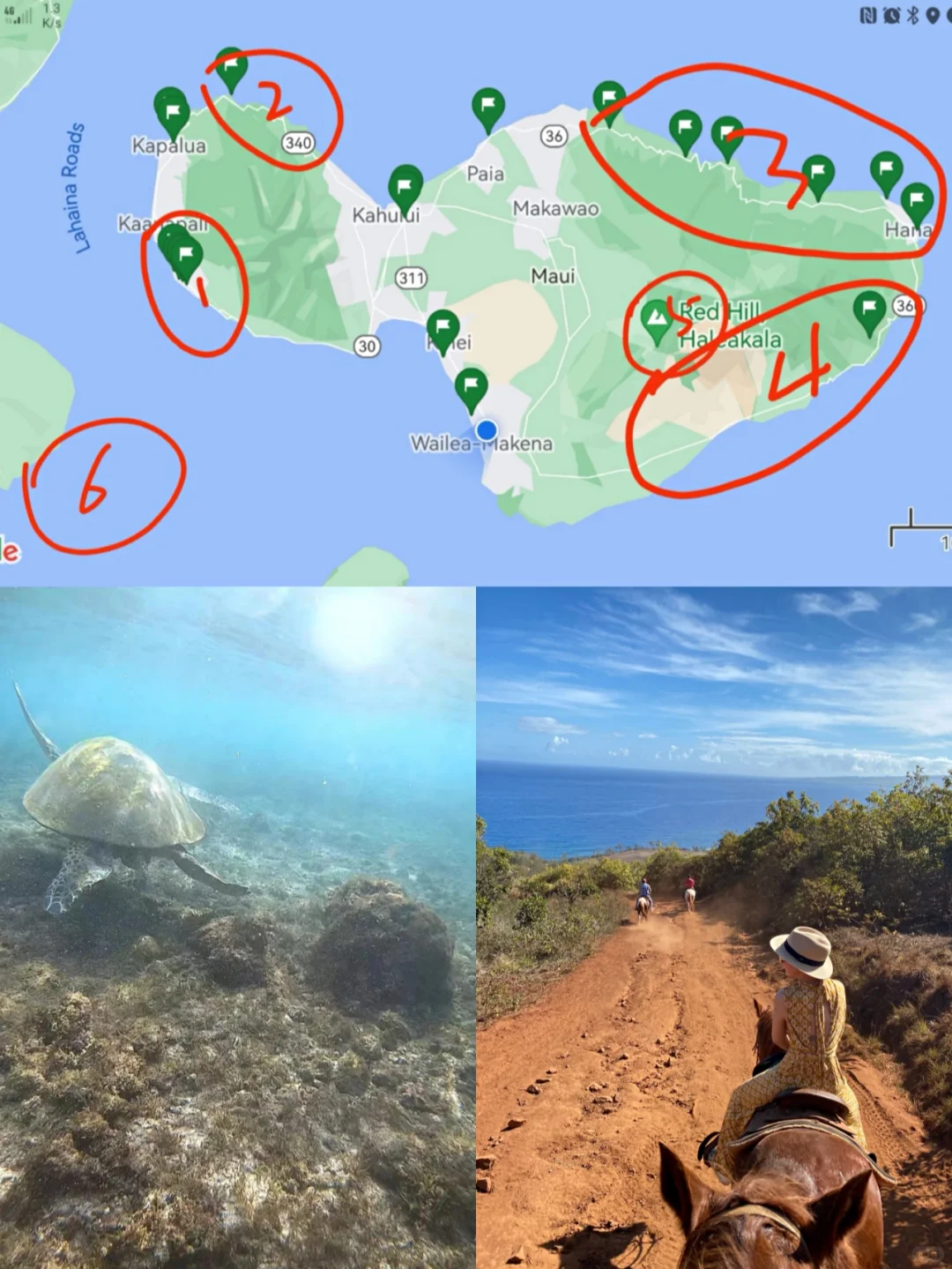 Veteran Traveler's Guide to Planning Your Maui Itinerary