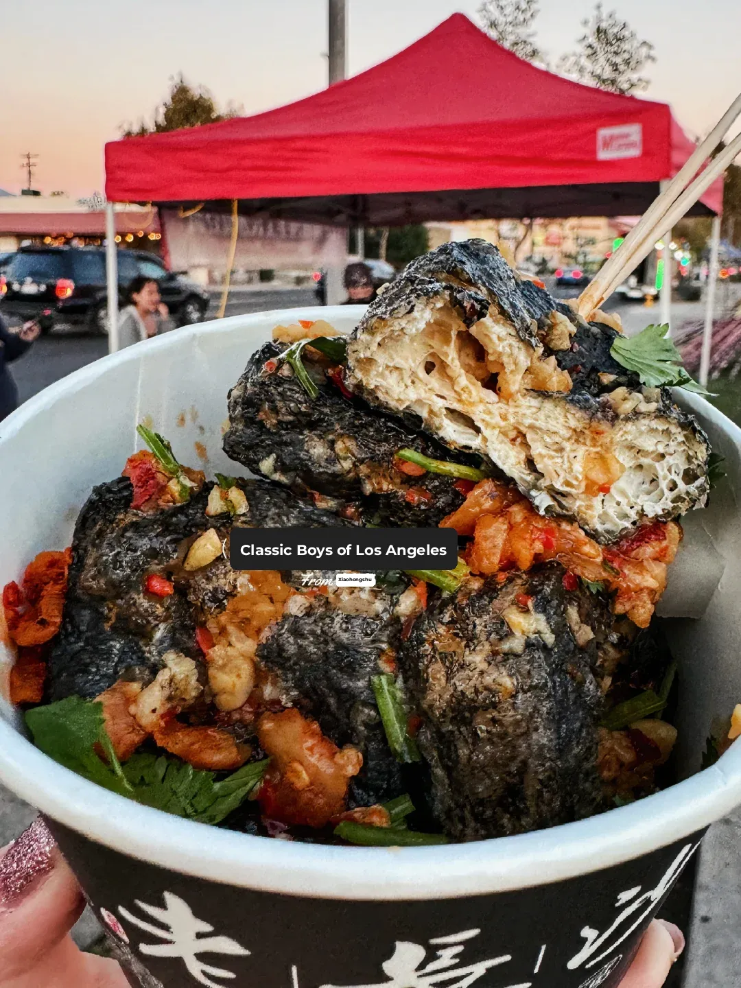 San Gabriel Street Food Truck—Stinky Tofu Just Tastes Better on the Sidewalk!