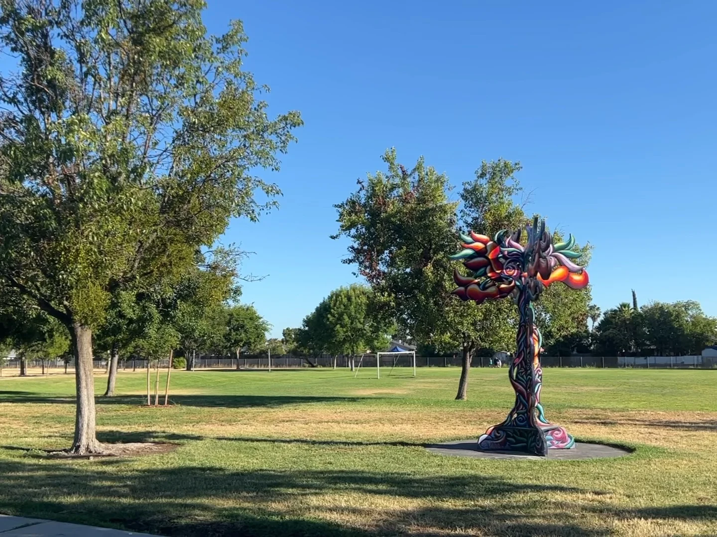 Robla Community Park in Sacramento