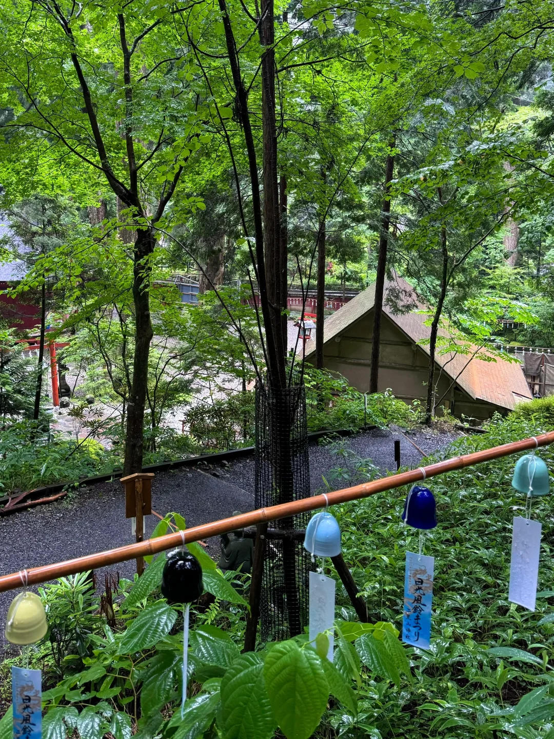 Tokyo in 2 Hours | If You're Looking for the Perfect Travel Destination: