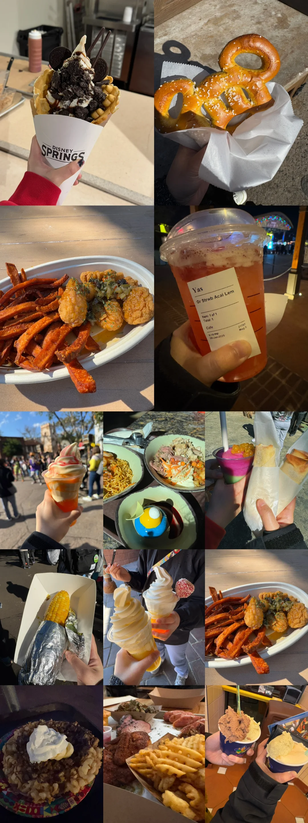 Orlando Disney Dining Guide & Reviews (Disney Springs/Animal Kingdom)