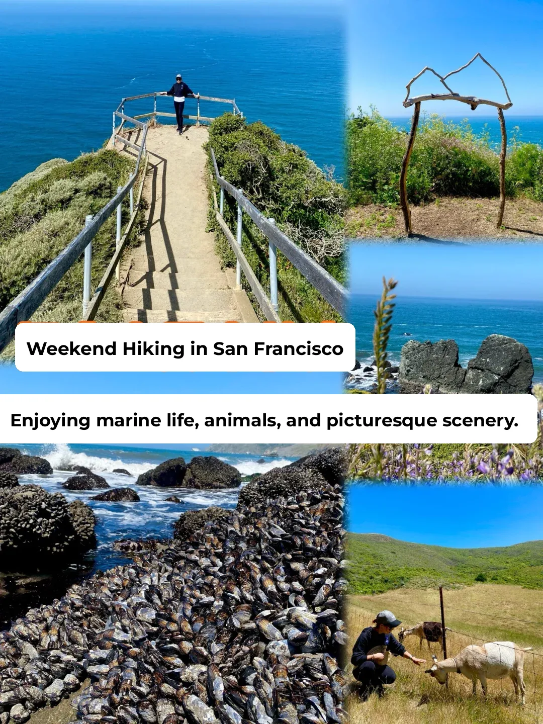 🌟SF Weekend Hike / Embracing Nature Up Close