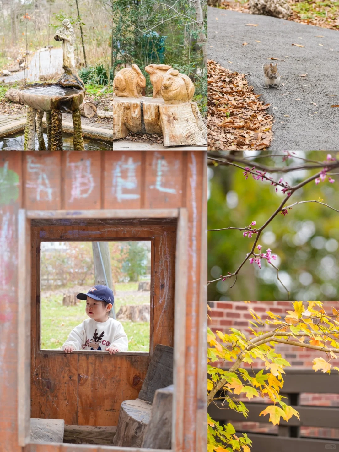 Houston Kid-Friendly Spot Recommendation: Charming and Adorable Russ Pitman Park