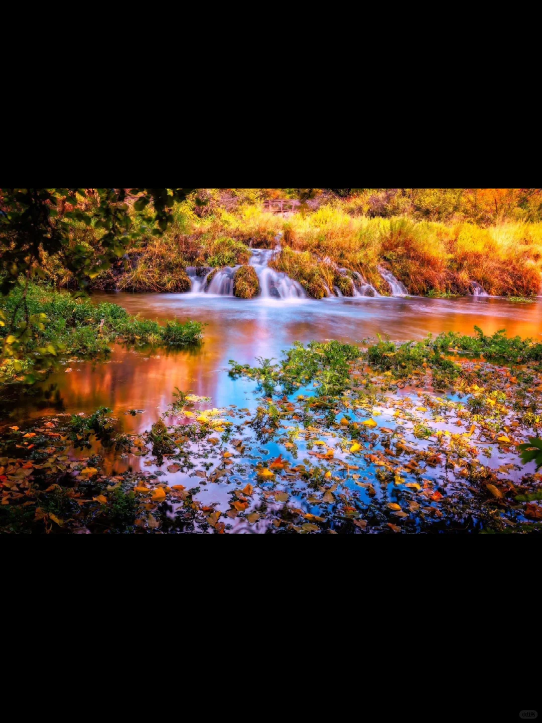 The Vibrant Colors of Autumn: Hiking in Cascade Springs, Salt Lake City