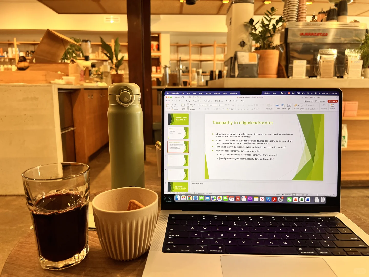 Who knew Hamden had such an aesthetically stunning shop!