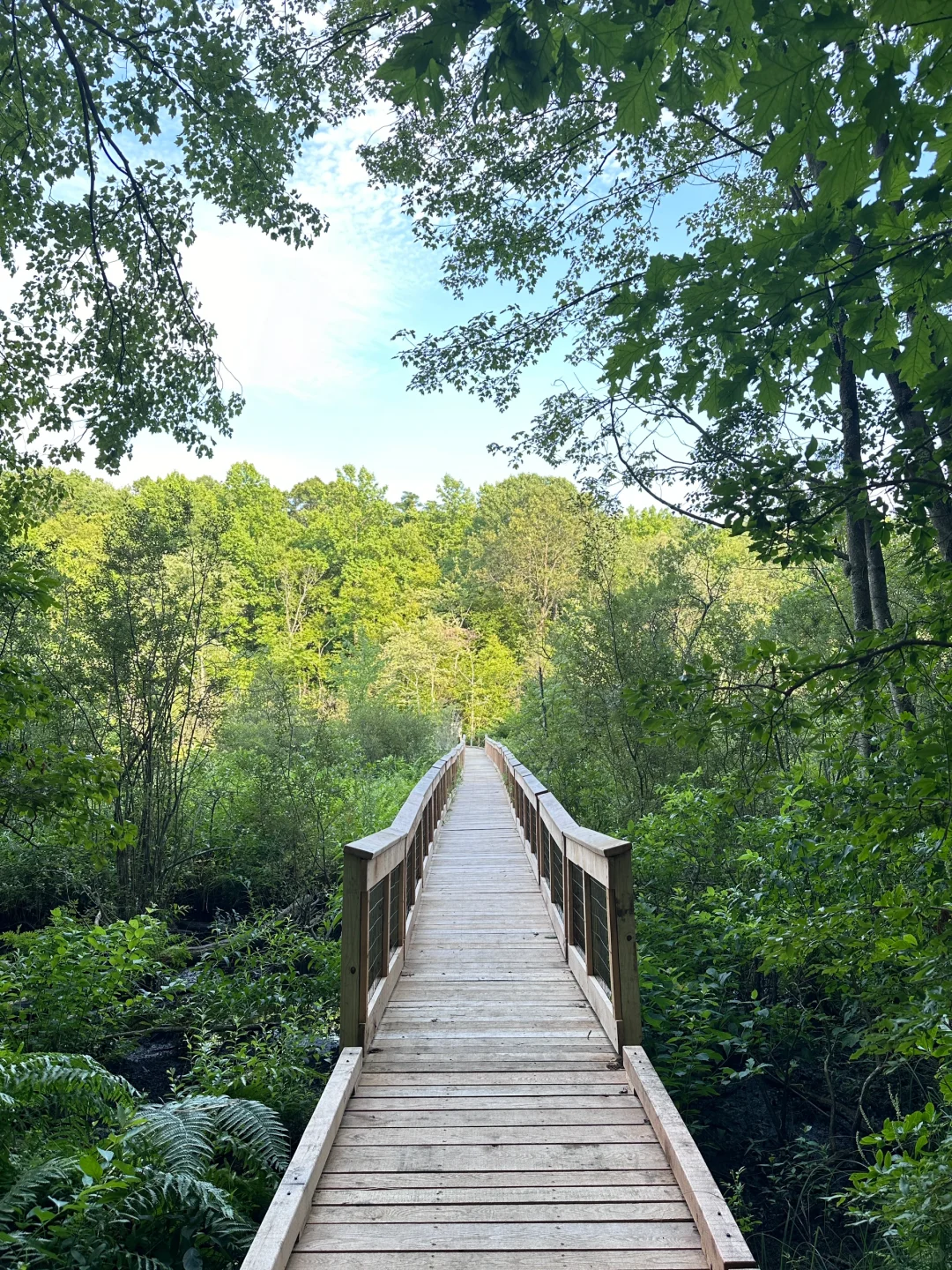 Cranberry Lake Preserve in Upstate New York