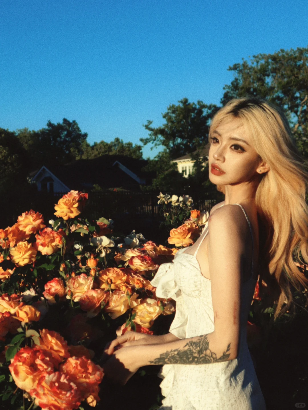 San Francisco Municipal Rose Garden 🥀🎞️