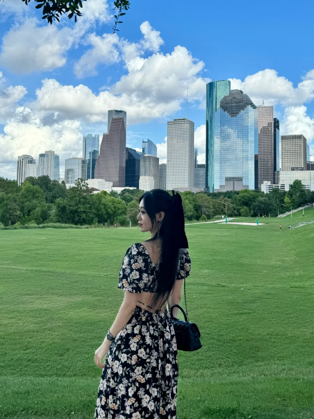 Houston City View Park