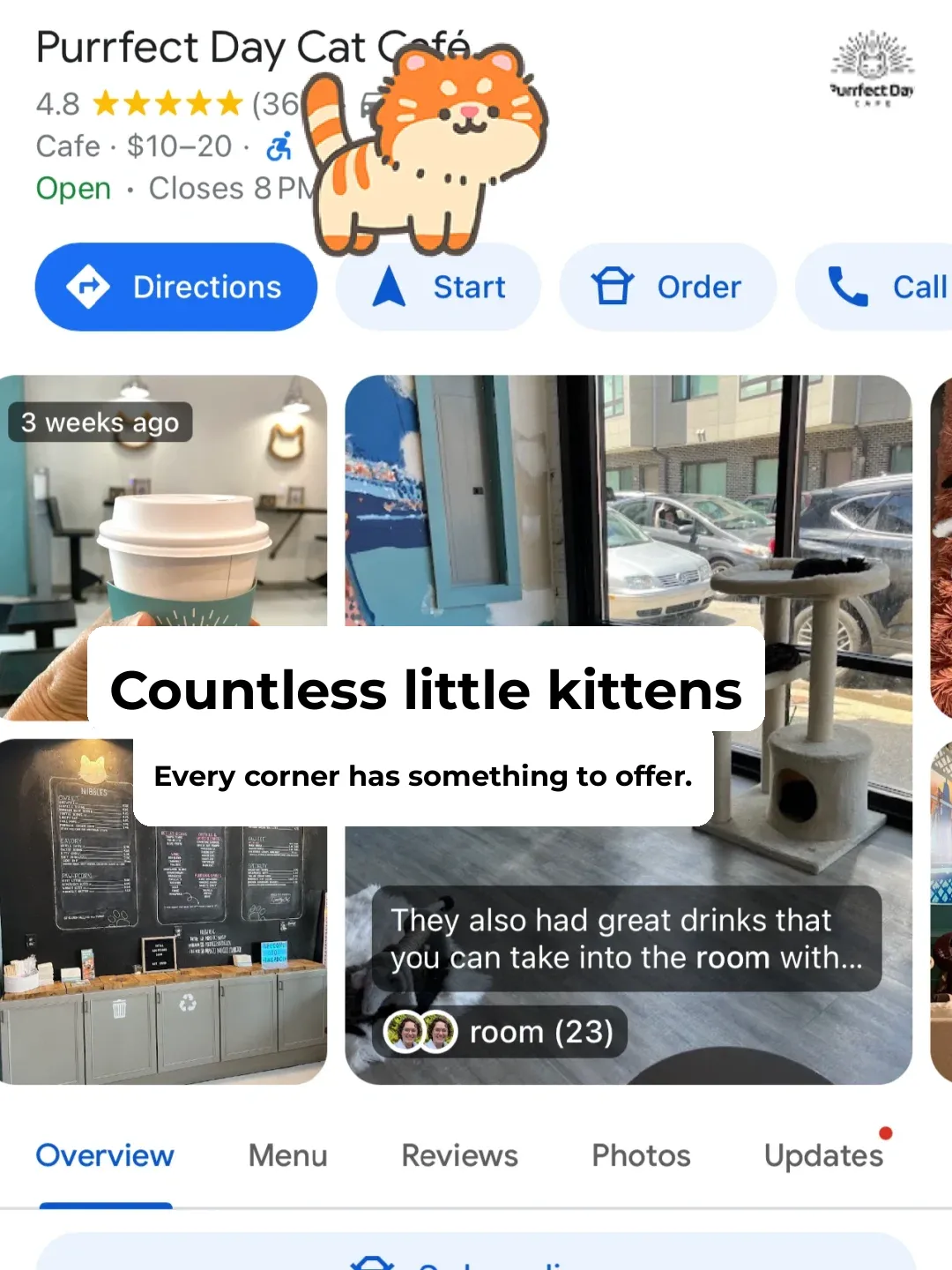Cincinnati | Northern Kentucky | Drop Everything and Visit This Cat Café Now!