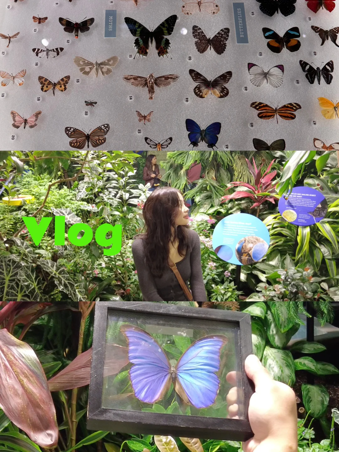 I Found the Highest Energy Spot in All of New York 🦋🔮