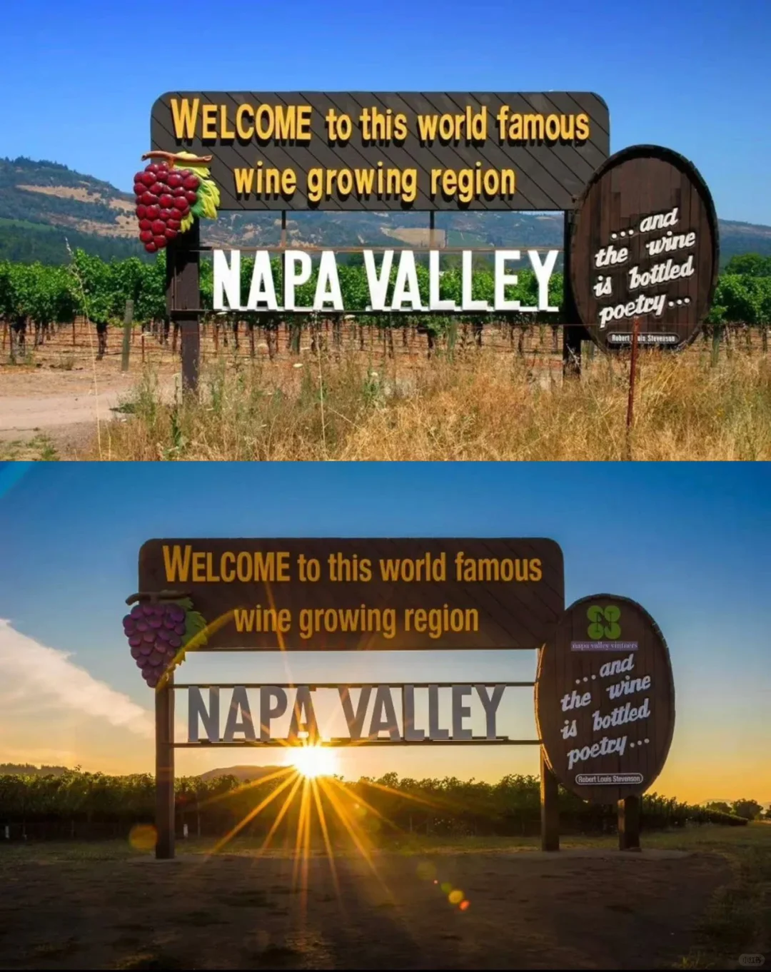 A Comprehensive Guide to Multiple Wineries in Napa! Pure Gold!! Everything You Need in One Post