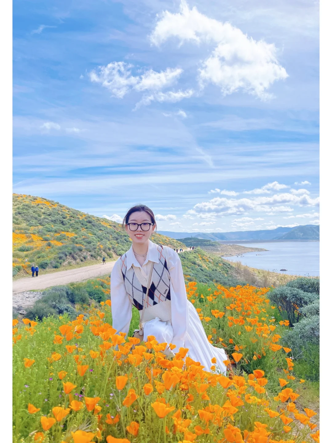 SoCal Flower Blooming | Don't Miss This Spring After the Long Rainy Season