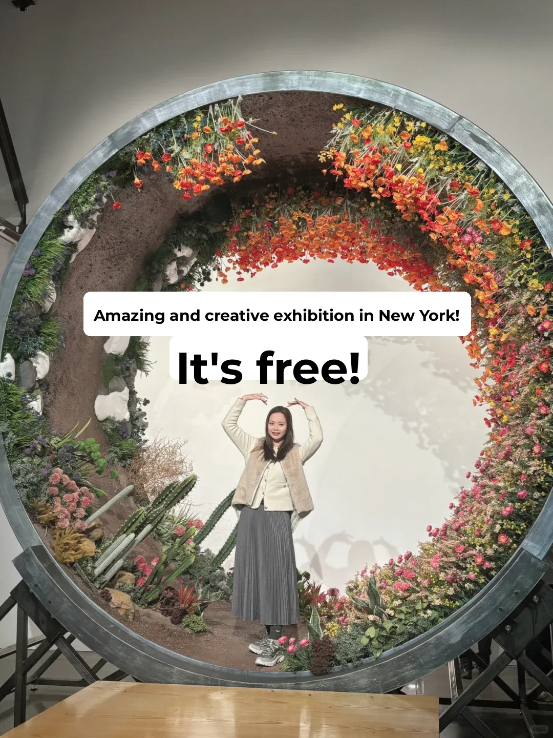 NYC's Free Immersive Journey: California, Switzerland, Brazil, Australia, and Beyond!