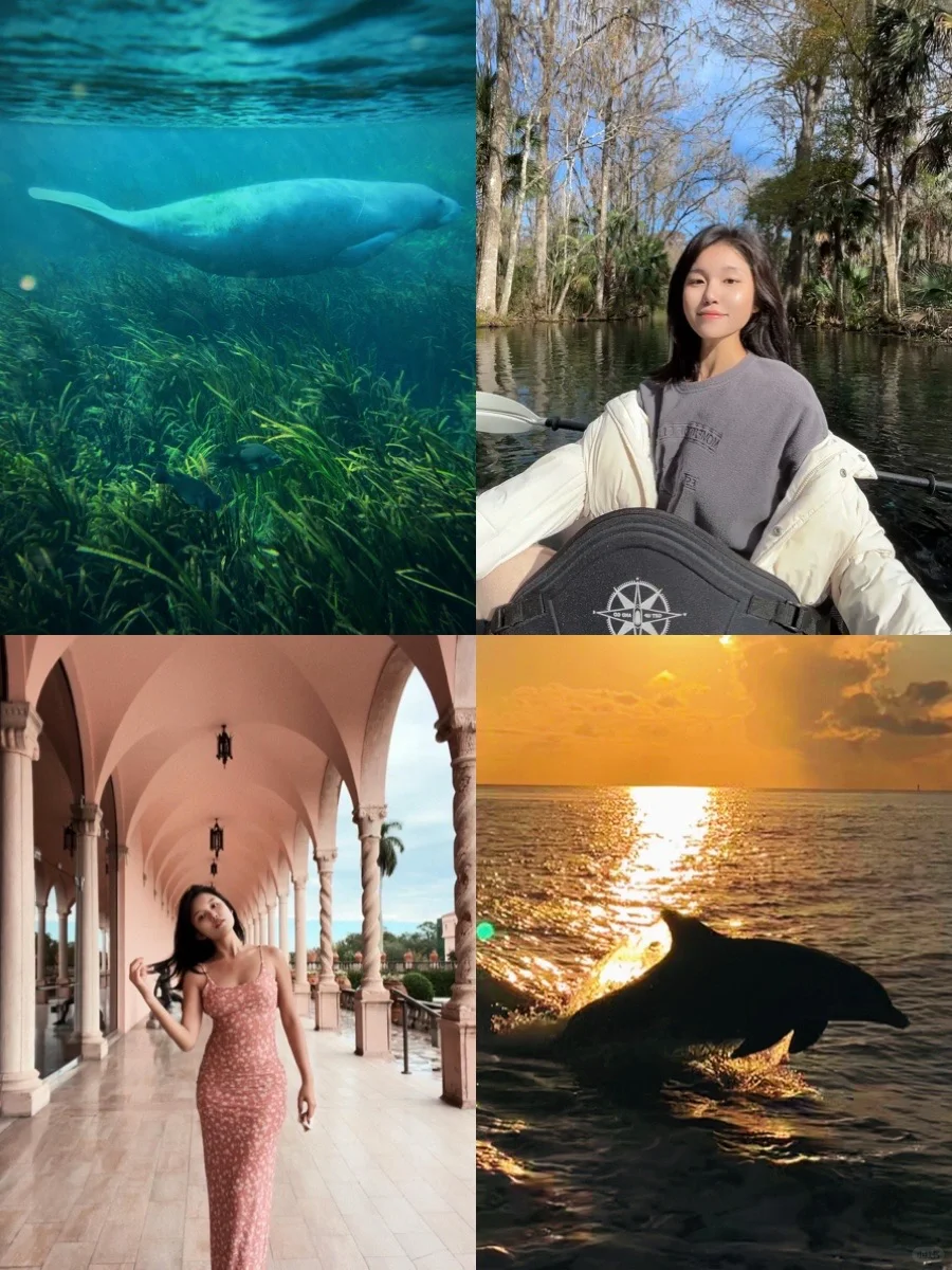 Tampa: Unbelievably Fun and Incredibly Diverse