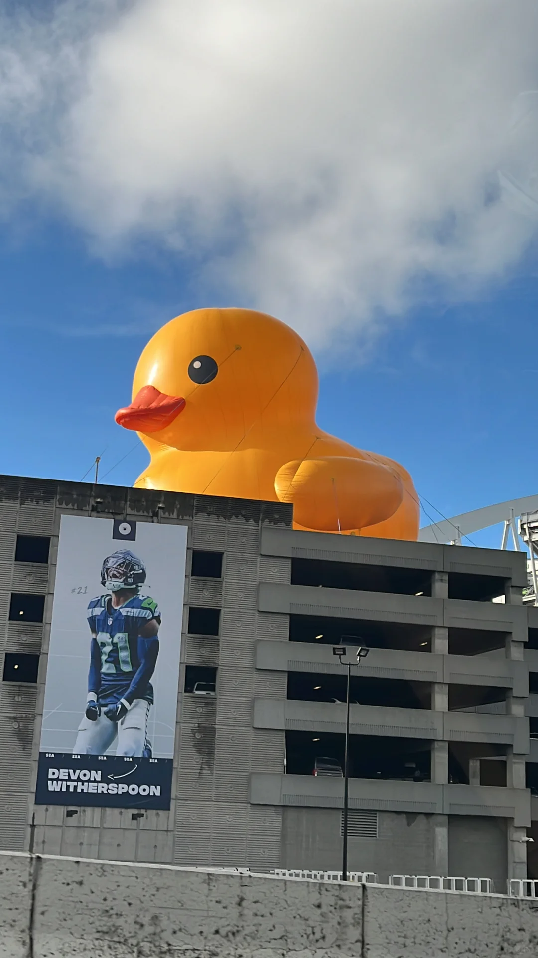 Seattle's Giant Rubber Duck