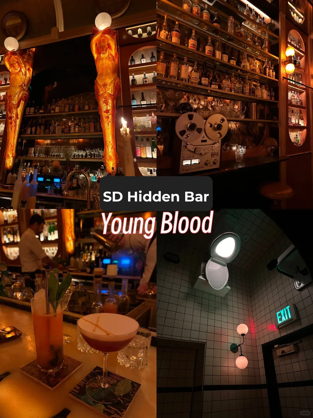 Hidden Omakase-Style Bar in San Diego: Young Blood