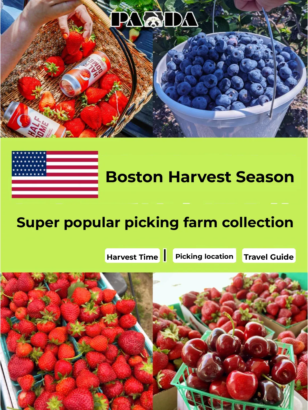 Ultimate Guide to Boston's Best Pick-Your-Own Farms 🍓 All You Need in One Post!