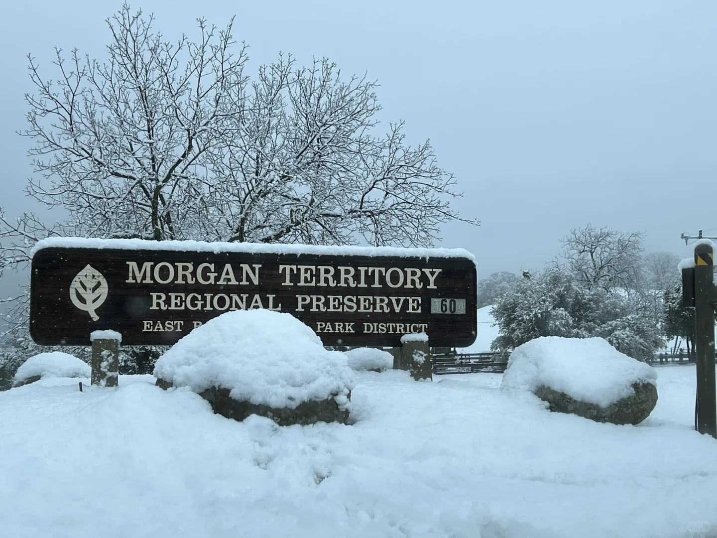 "Snowy Paradise Just 30 Mins from SF Bay Area: Few Crowds, Lots of Snow – Hurry!"