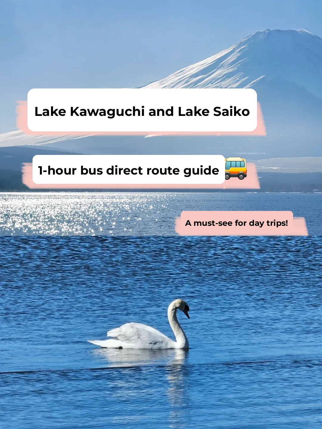 Lake Kawaguchi to Lake Yamanaka Guide: 1-Hour Journey to the Blue Legend 🧢