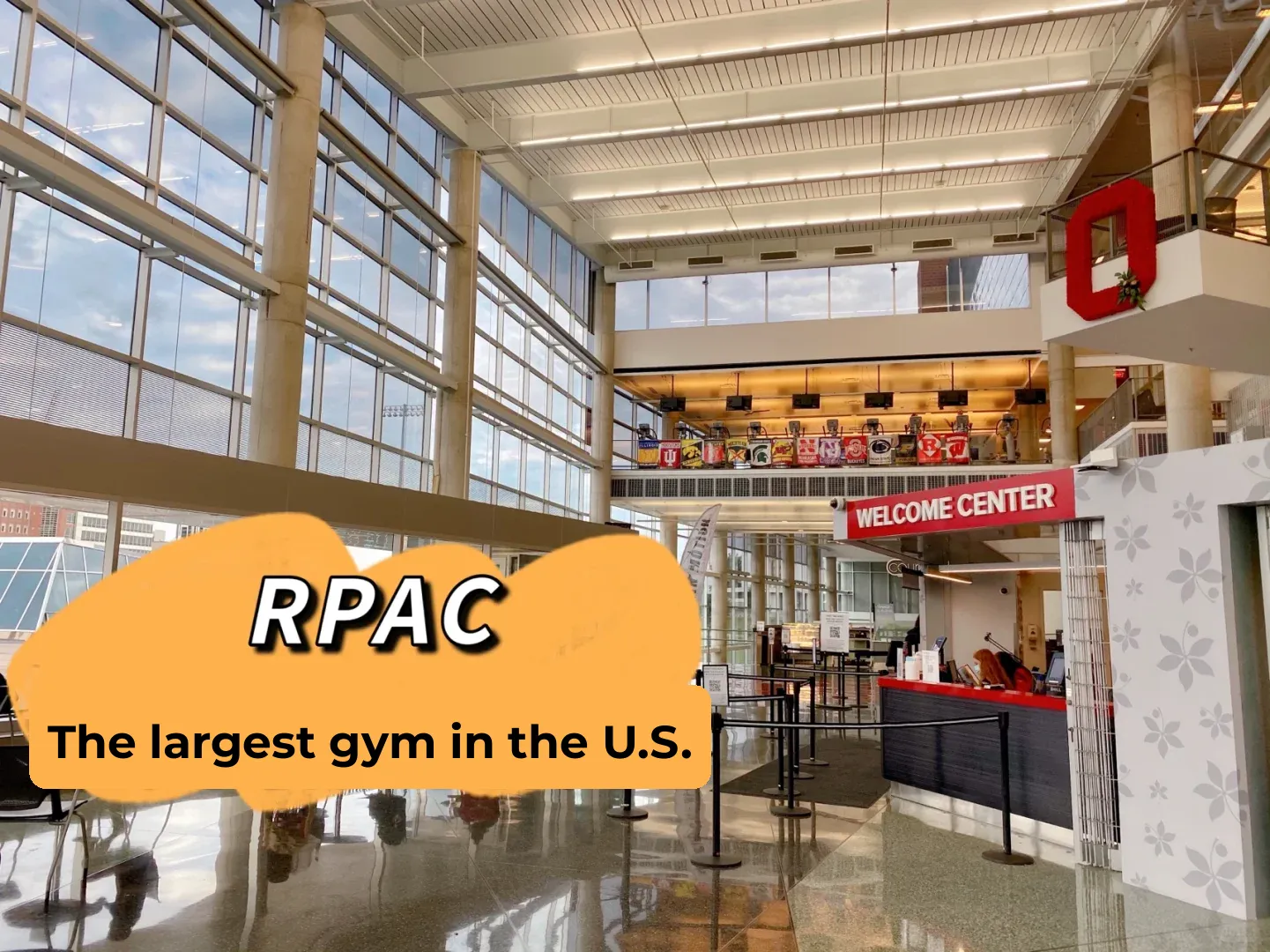 What? The Largest Gym in North America Is Right Next to Me?