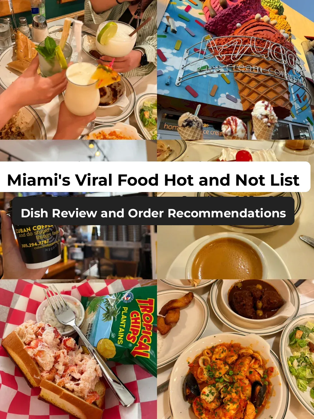 🇺🇸 Miami’s Viral Food Spots: Hits & Misses (With Dish Reviews)