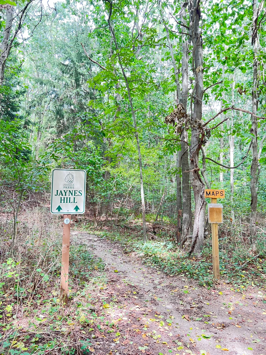 Hiking on Long Island, NYC