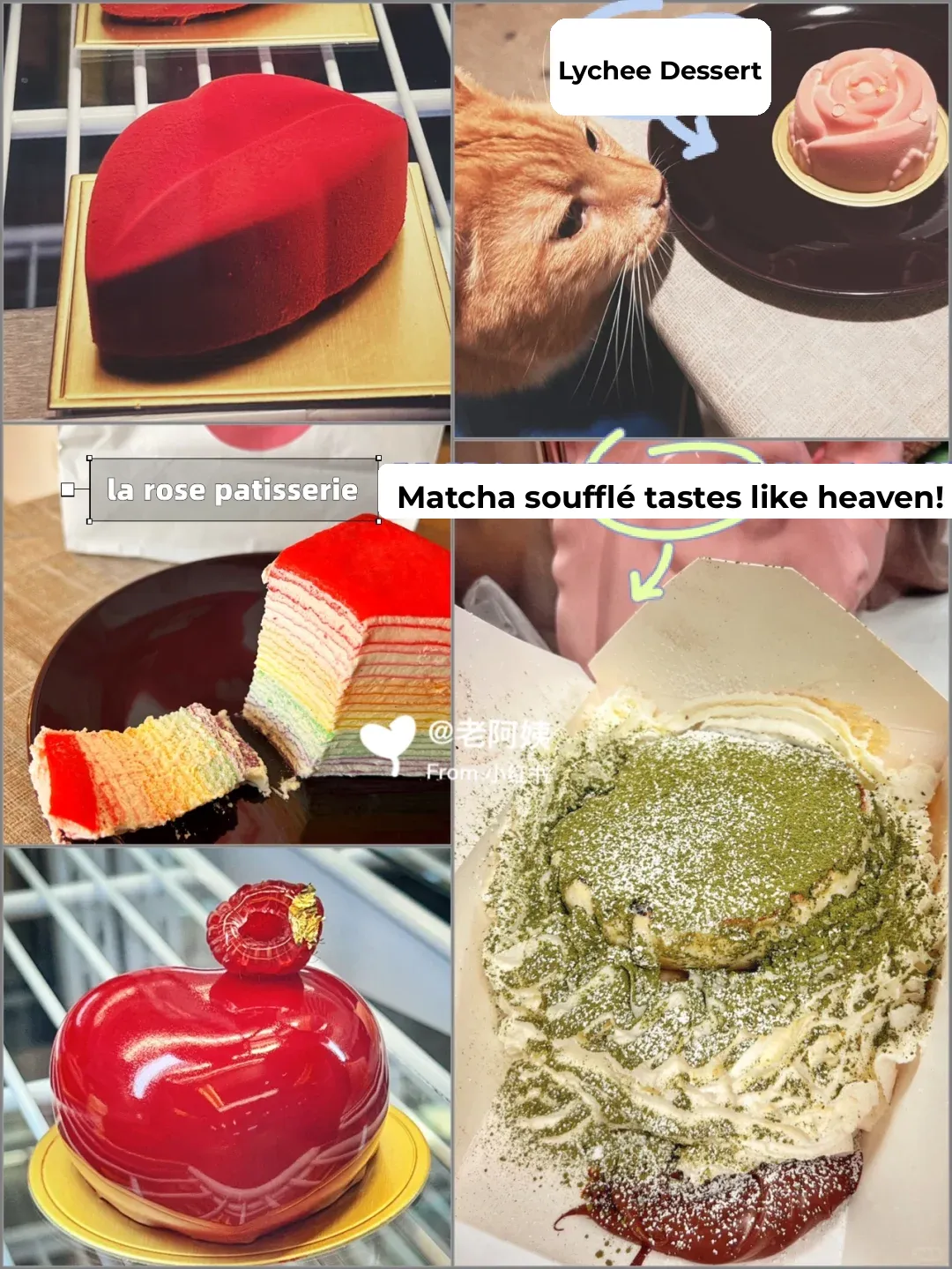 Portland Tastes Better Than Seattle! 2022 Foodie Guide 🍴