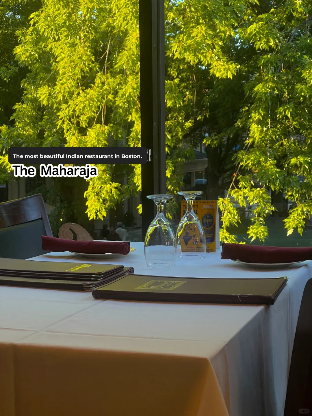 Boston's Most Amazing Indian Cuisine 🇮🇳