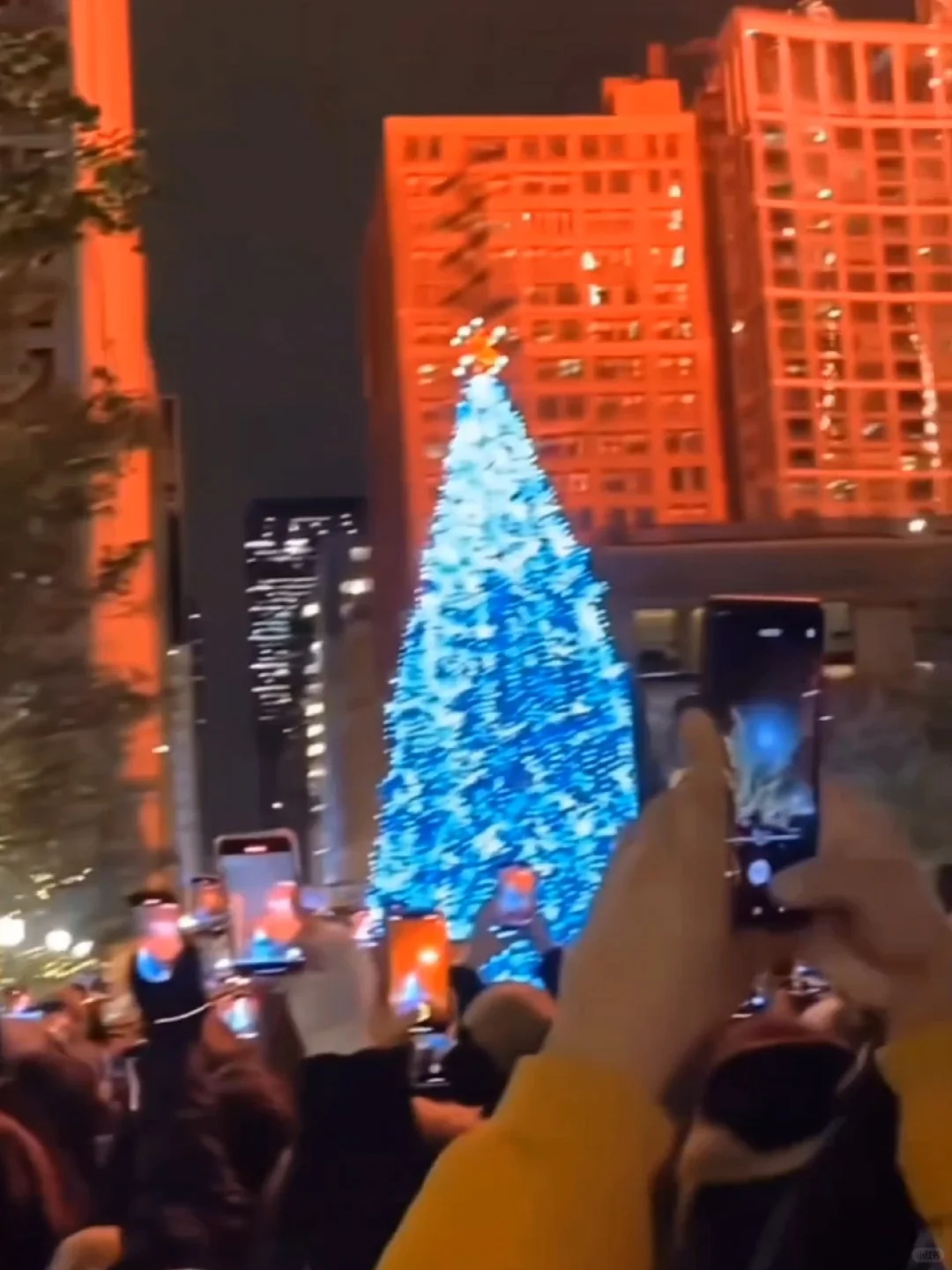 Chicago's Giant Christmas Tree Lights Up on November 20, 2023