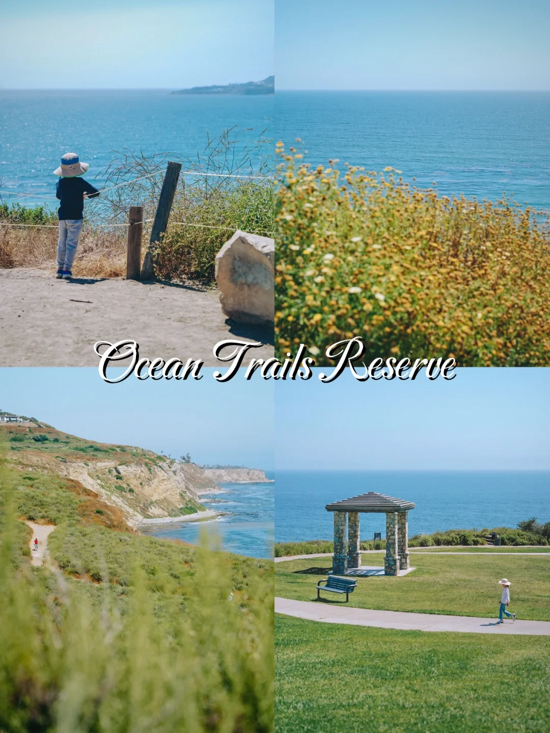 LA Area | That Summer's Serene Sea 🎐 Off-the-Beaten-Path Coastal Hike