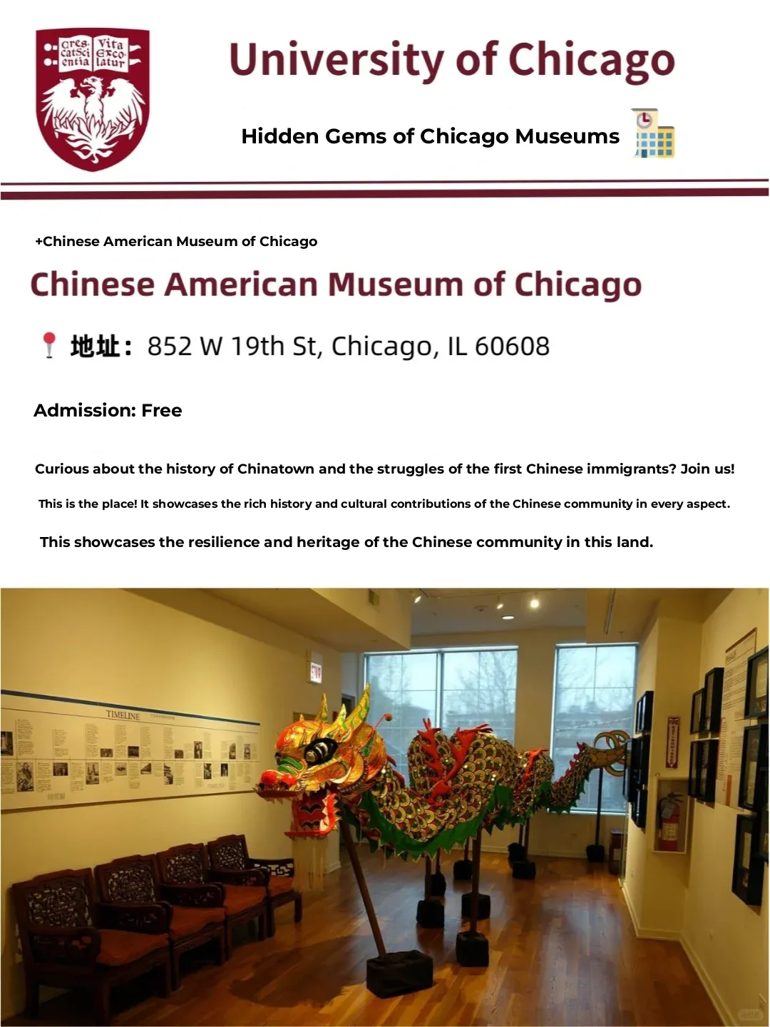 "Where to Go After the Final? A Guide to Chicago's Hidden Gem Museums ✨"