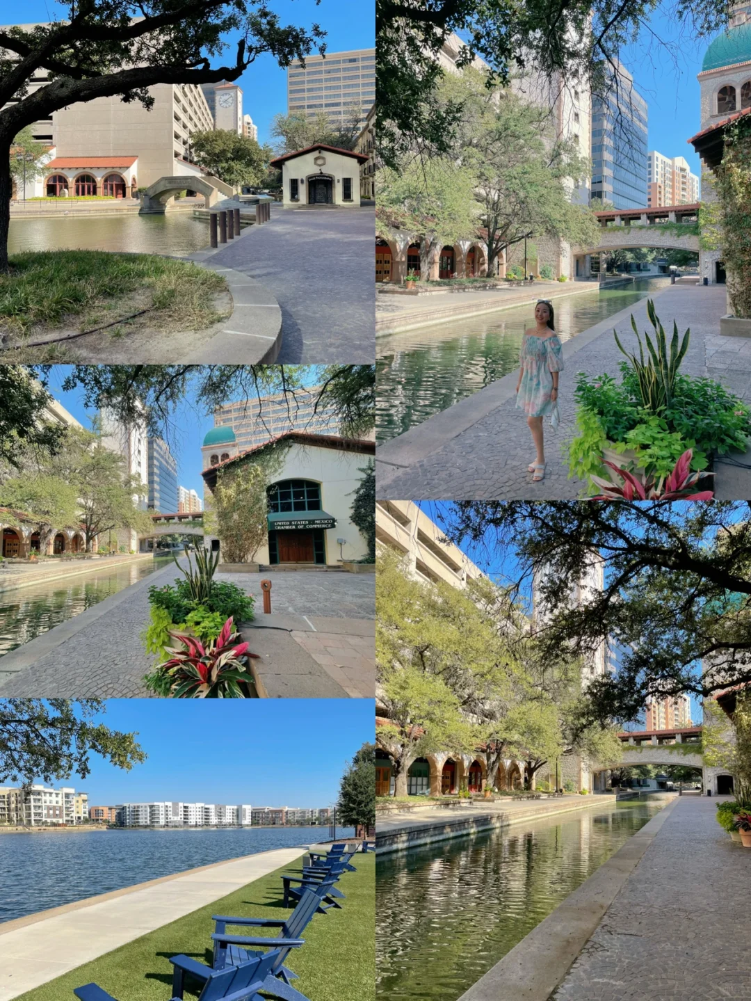 😍 Who Knew Dallas, Texas Had Such a Stunning Spot! 🌿