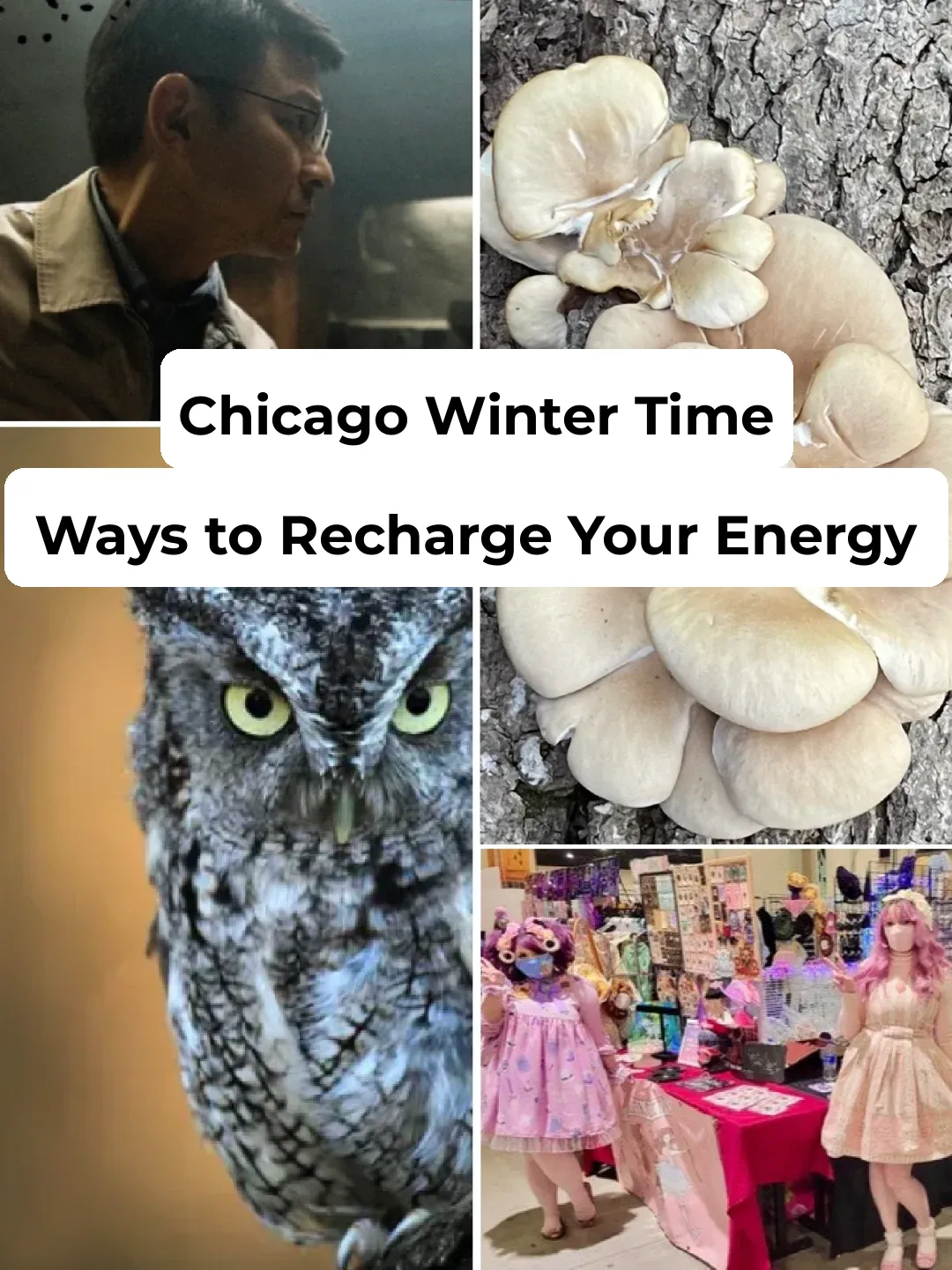 "Recharge Your Energy with These Simple Activities During Chicago's Winter Weekend"
