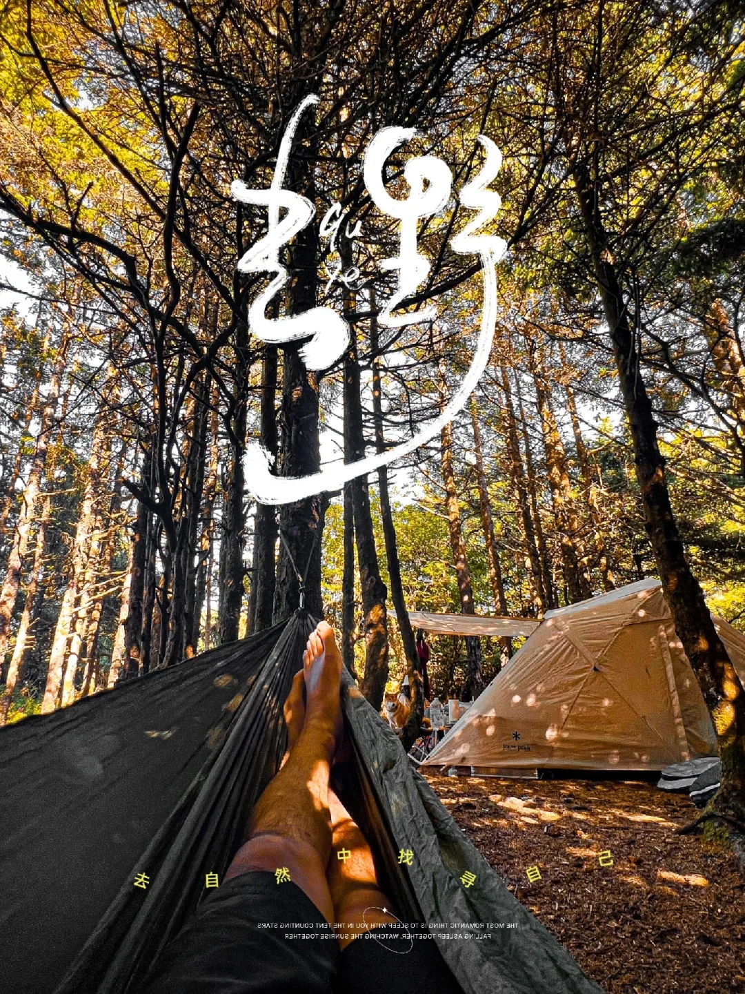 Camping and Surfing in Seattle ⛺️🏄🏻‍♂️