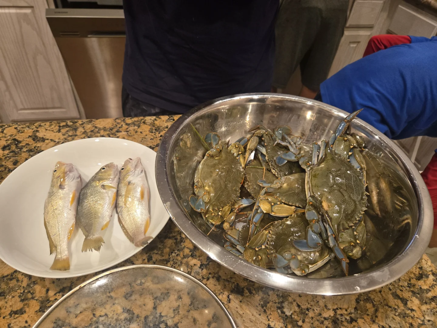The Joy of Beachcombing: Crabbing in Galveston