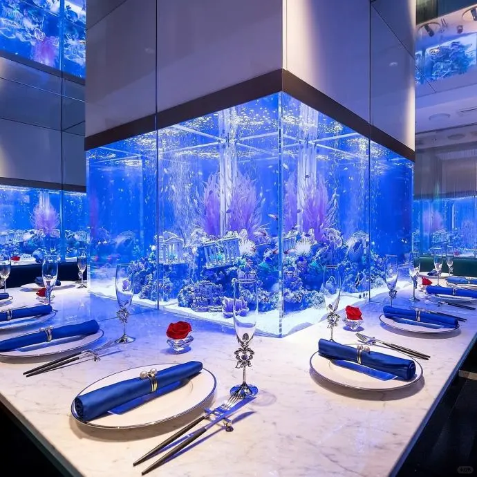 🐠 Romantic Ueno Aquarium Restaurant, French Cuisine in a Submarine