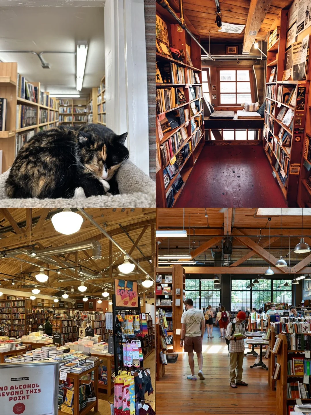 6 Indoor Activities in Seattle 🌧️ 24 Must-Visit Spots on Rainy Days