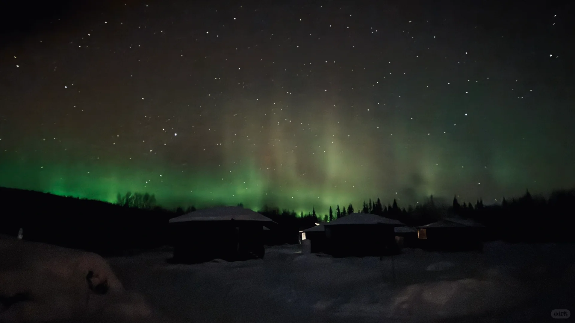 Chasing the Northern Lights with a Group Tour in Alaska