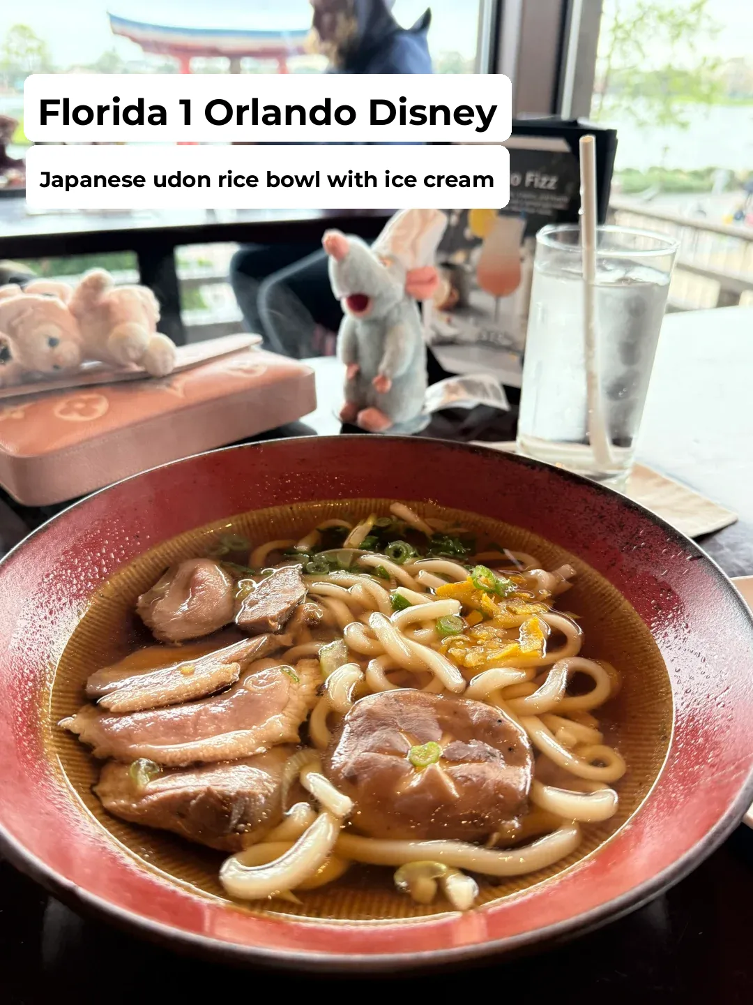 Florida | Orlando Eats: Udon and Rice Bowls at the Japanese Pavilion