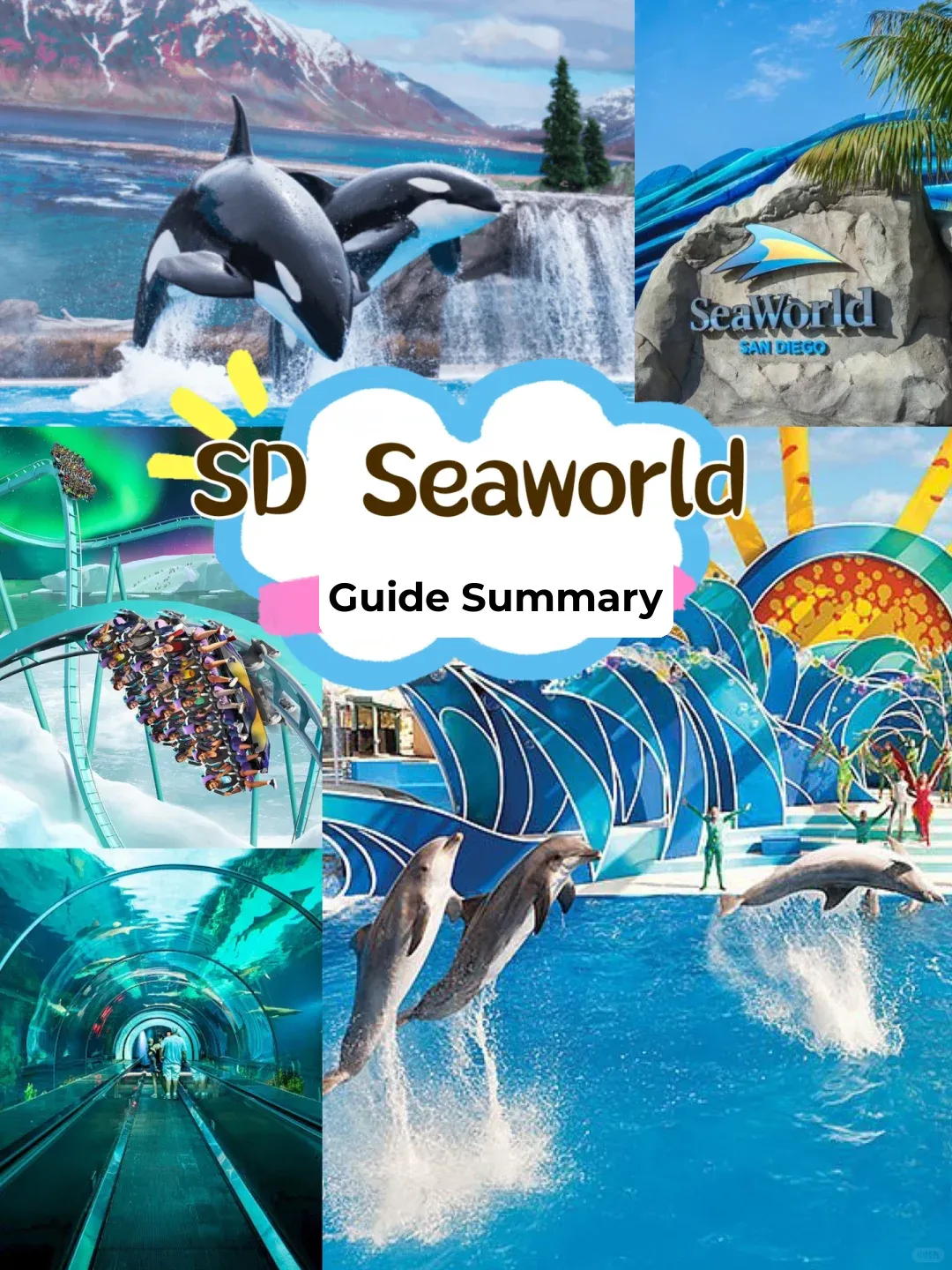 San Diego Travel Guide | 🌊 Complete Guide to Seaworld